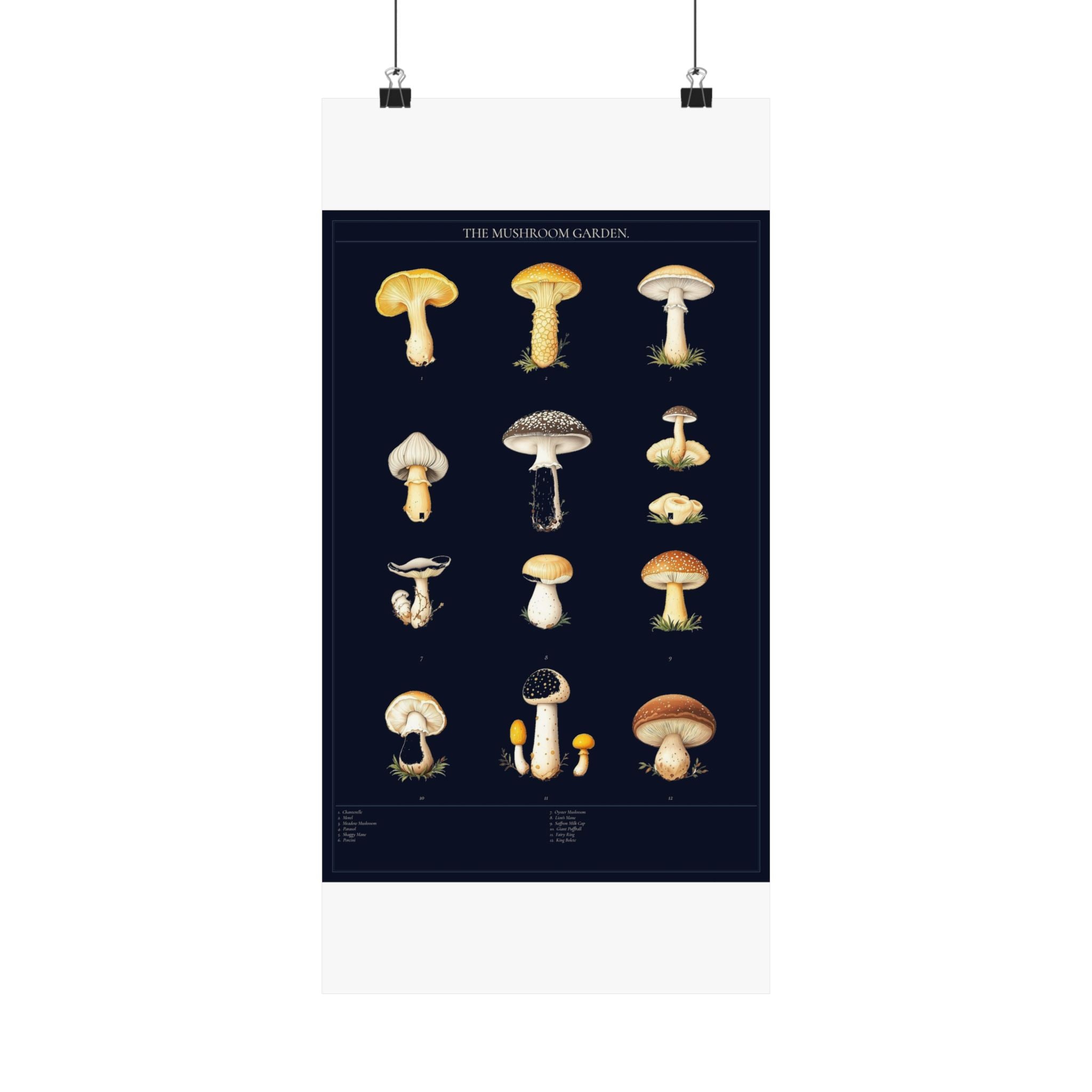 Vintage Mushroom Study — Cottagecore Botanical Art Print