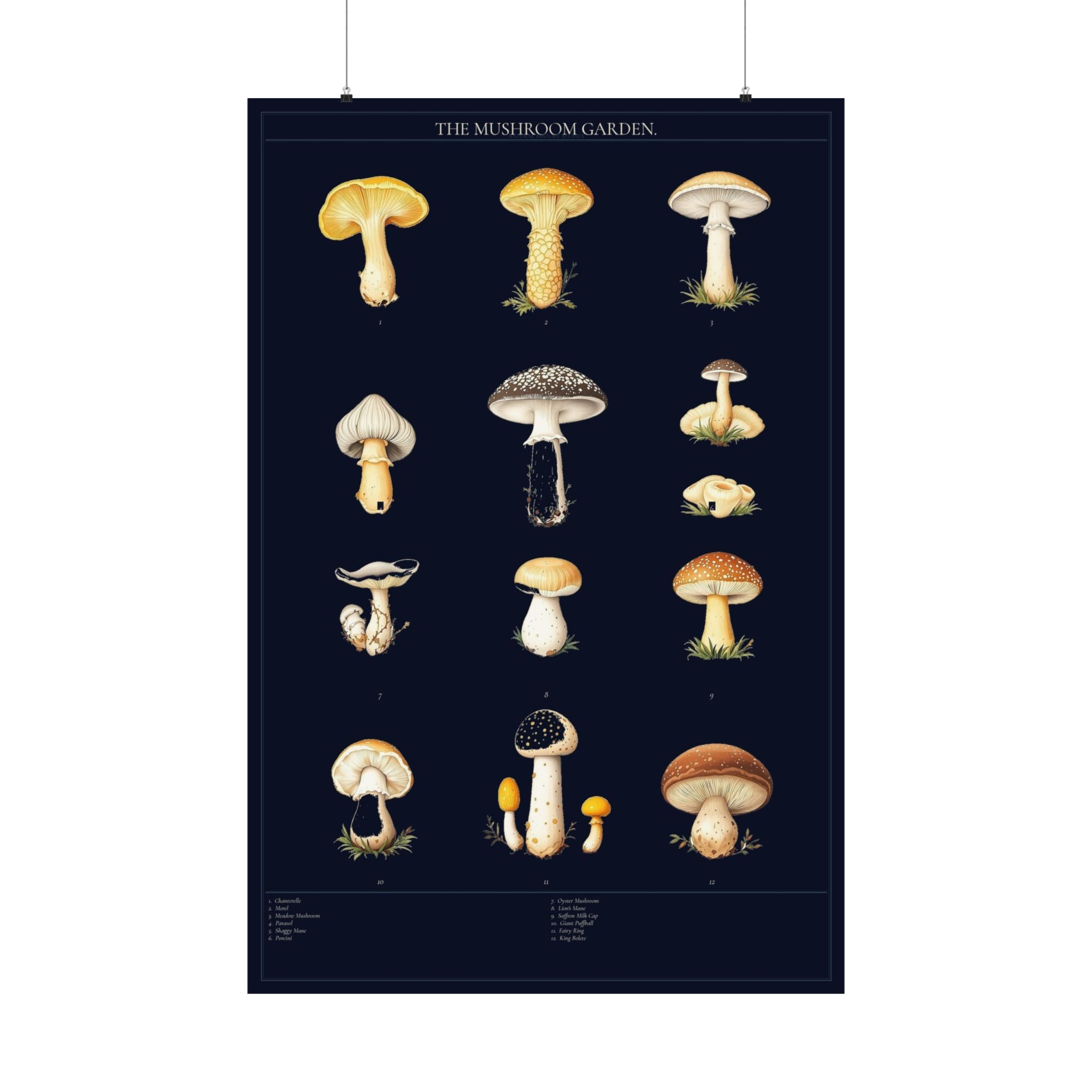 Vintage Mushroom Study — Cottagecore Botanical Art Print