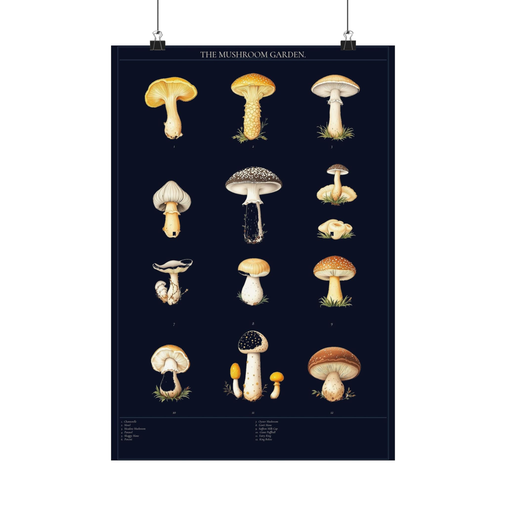 Vintage Mushroom Study — Cottagecore Botanical Art Print