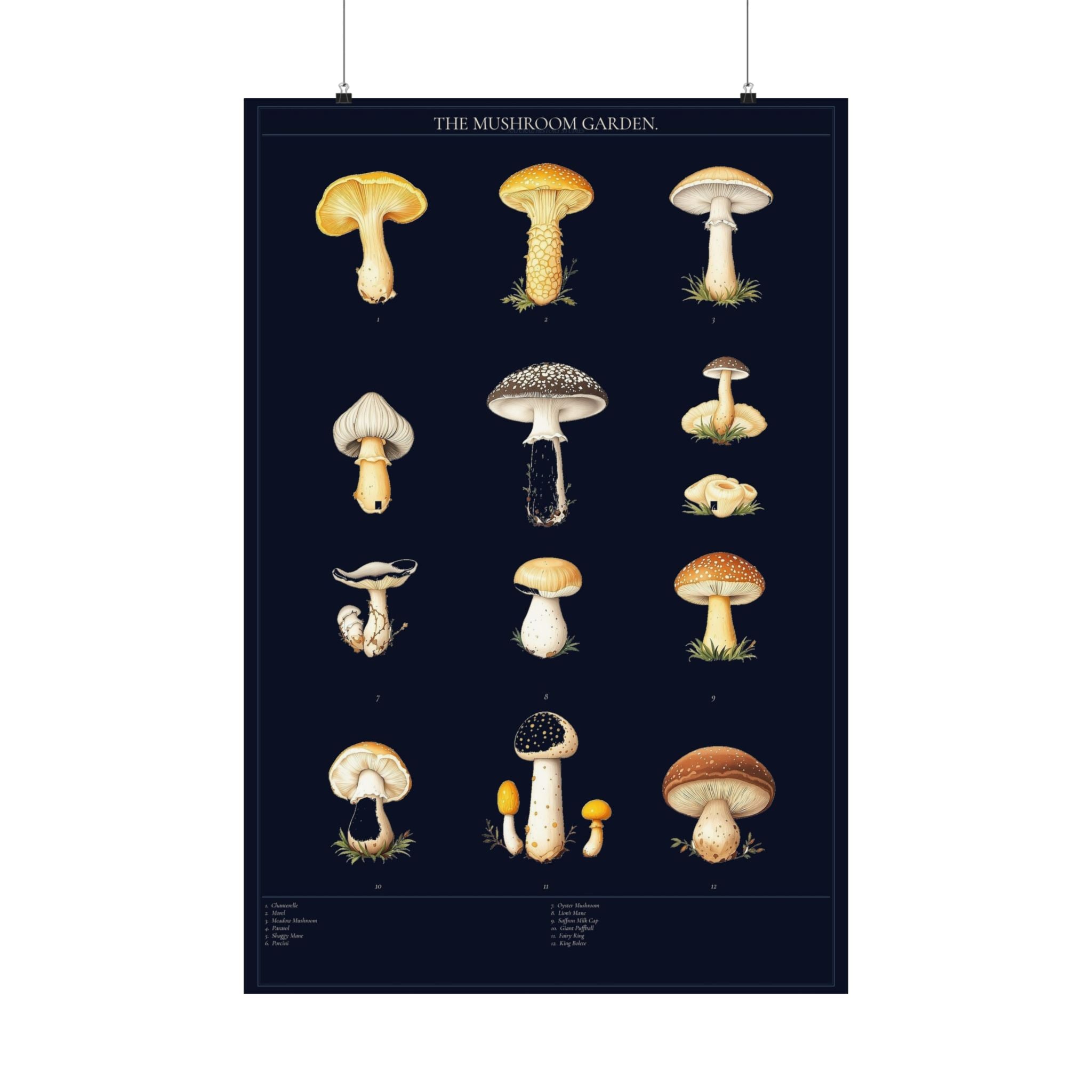 Vintage Mushroom Study — Cottagecore Botanical Art Print