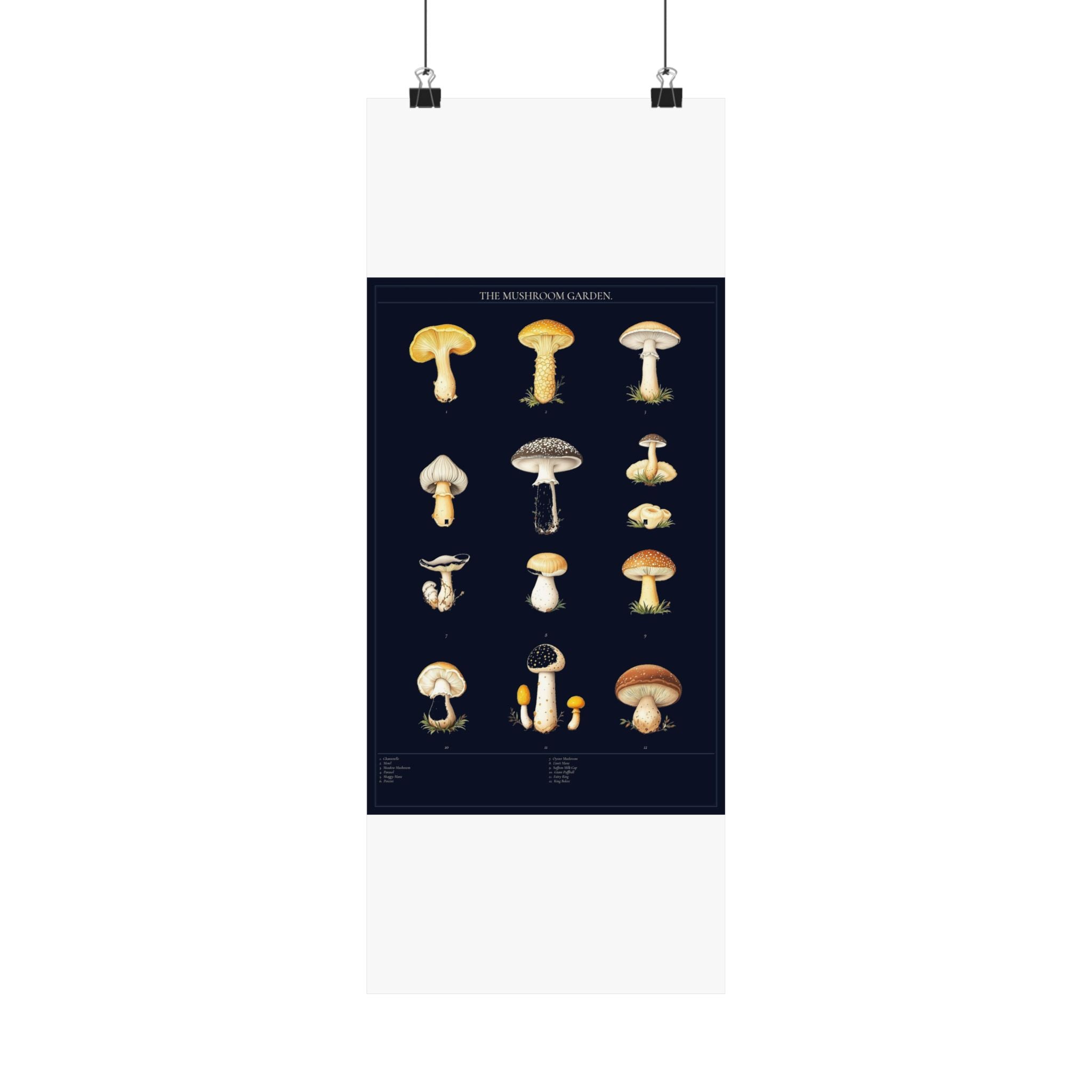 Vintage Mushroom Study — Cottagecore Botanical Art Print
