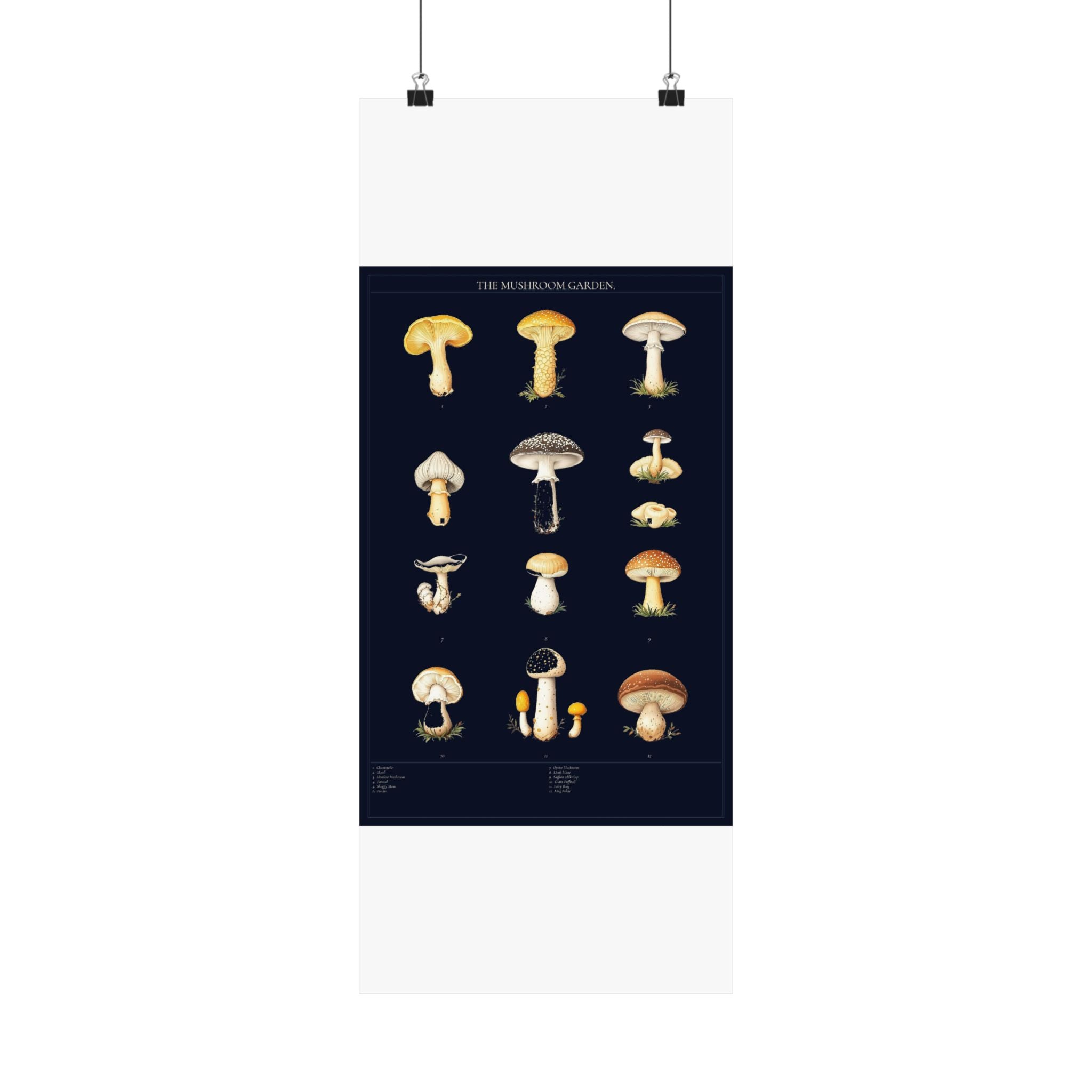 Vintage Mushroom Study — Cottagecore Botanical Art Print