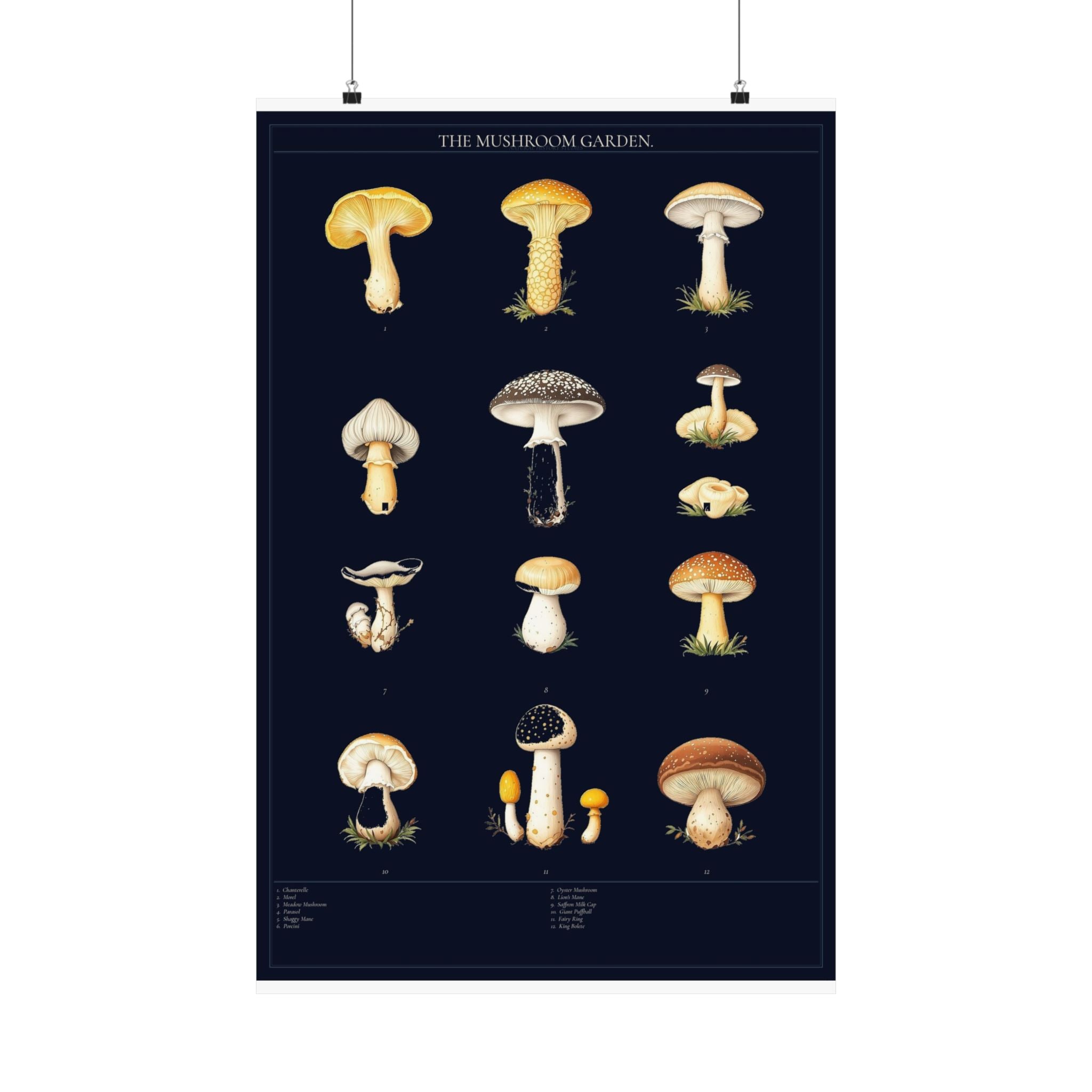 Vintage Mushroom Study — Cottagecore Botanical Art Print