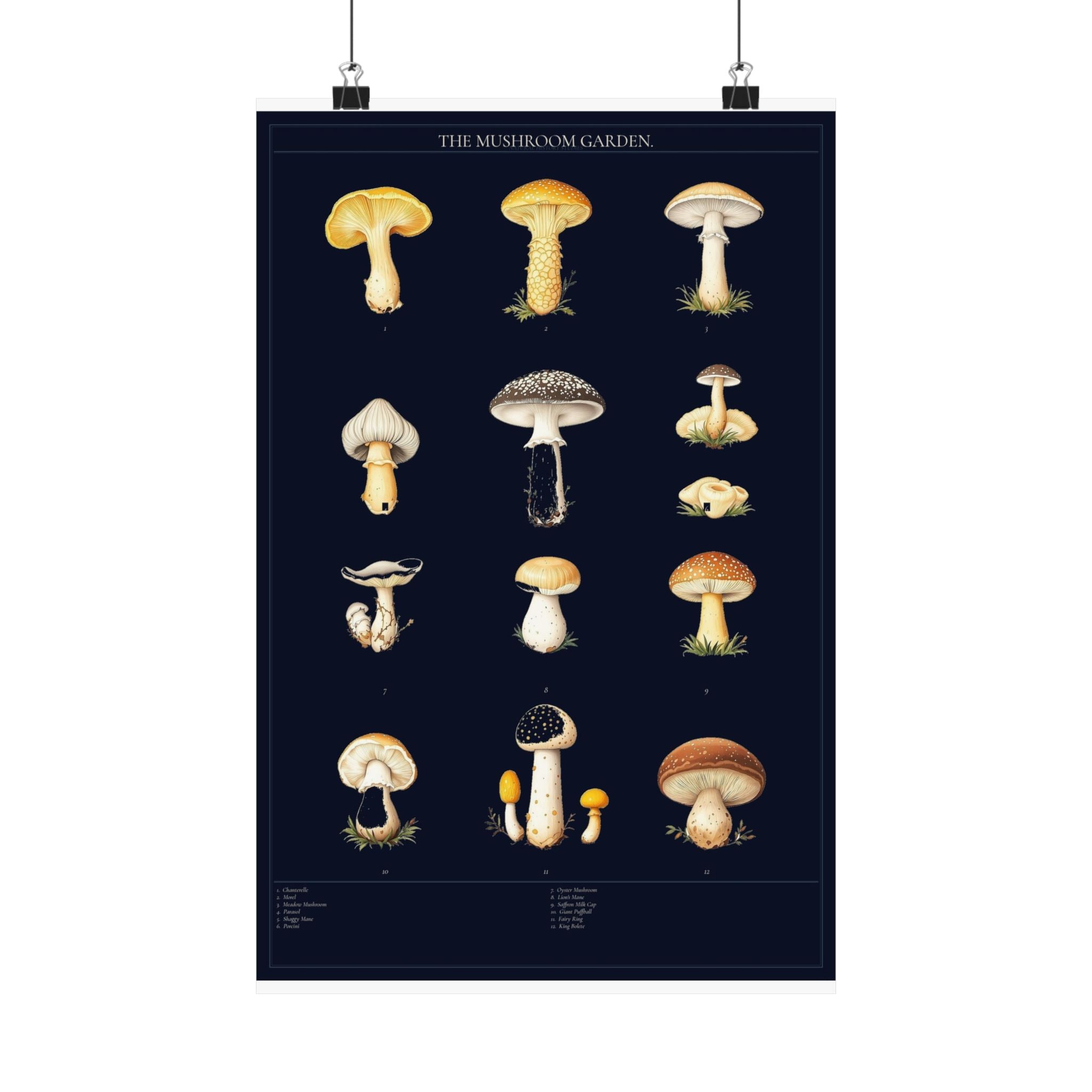 Vintage Mushroom Study — Cottagecore Botanical Art Print