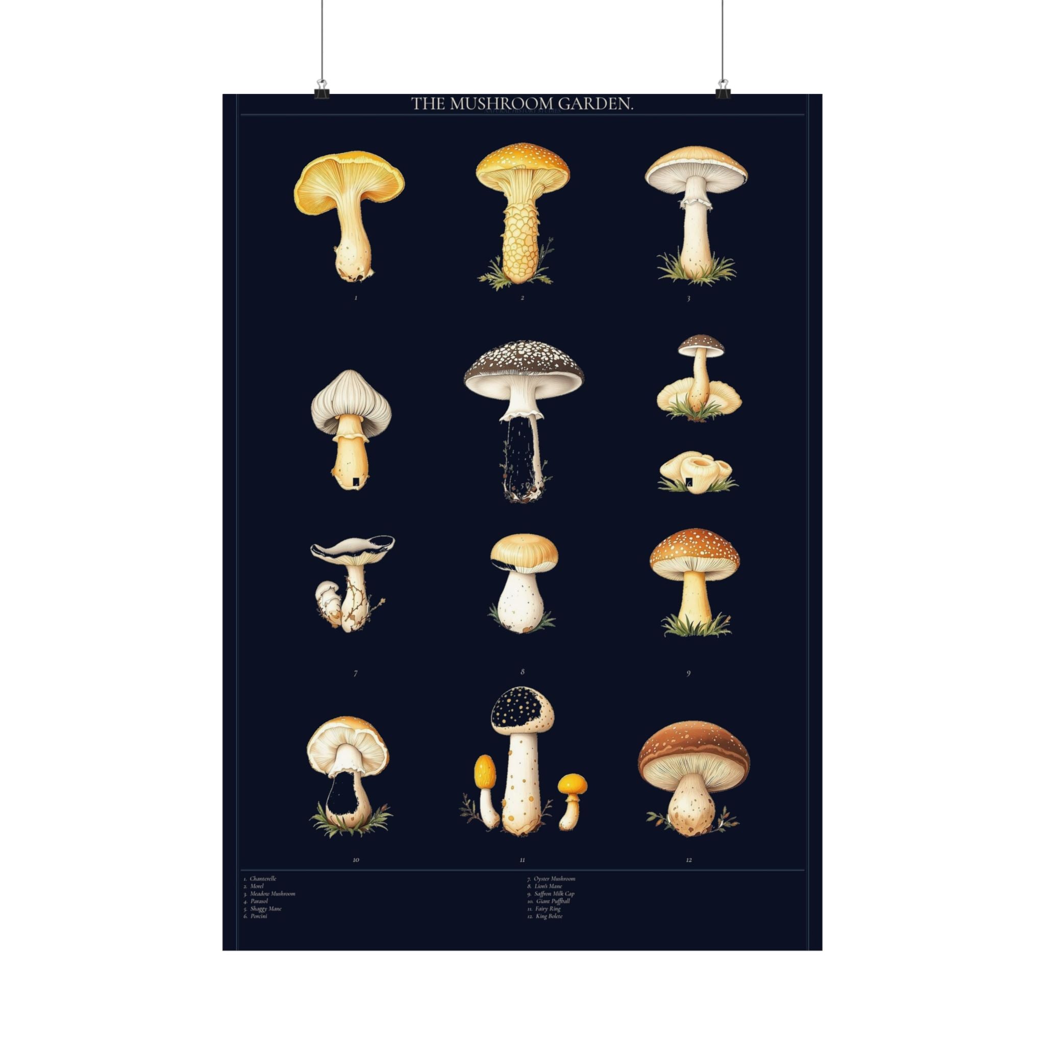 Vintage Mushroom Study — Cottagecore Botanical Art Print