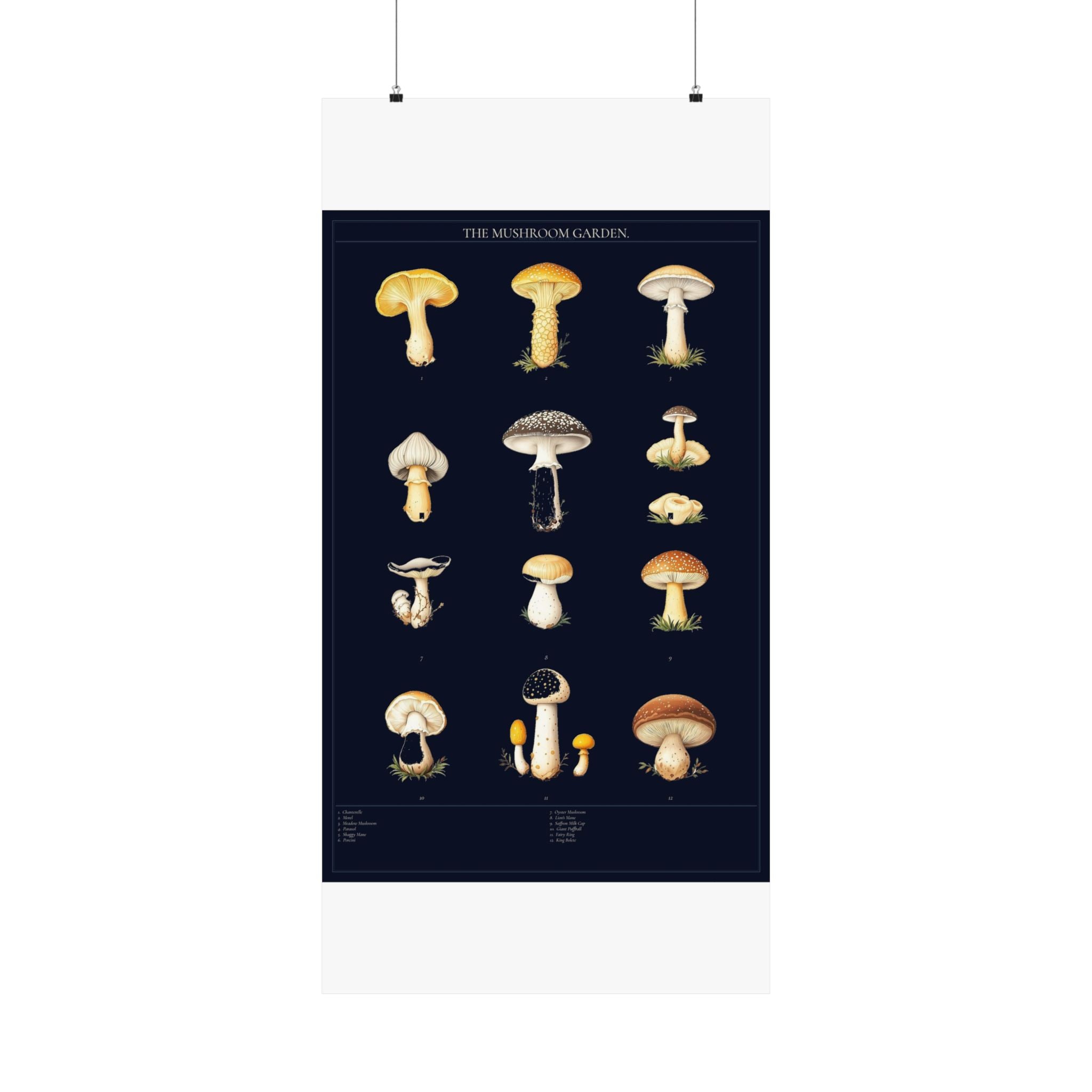 Vintage Mushroom Study — Cottagecore Botanical Art Print
