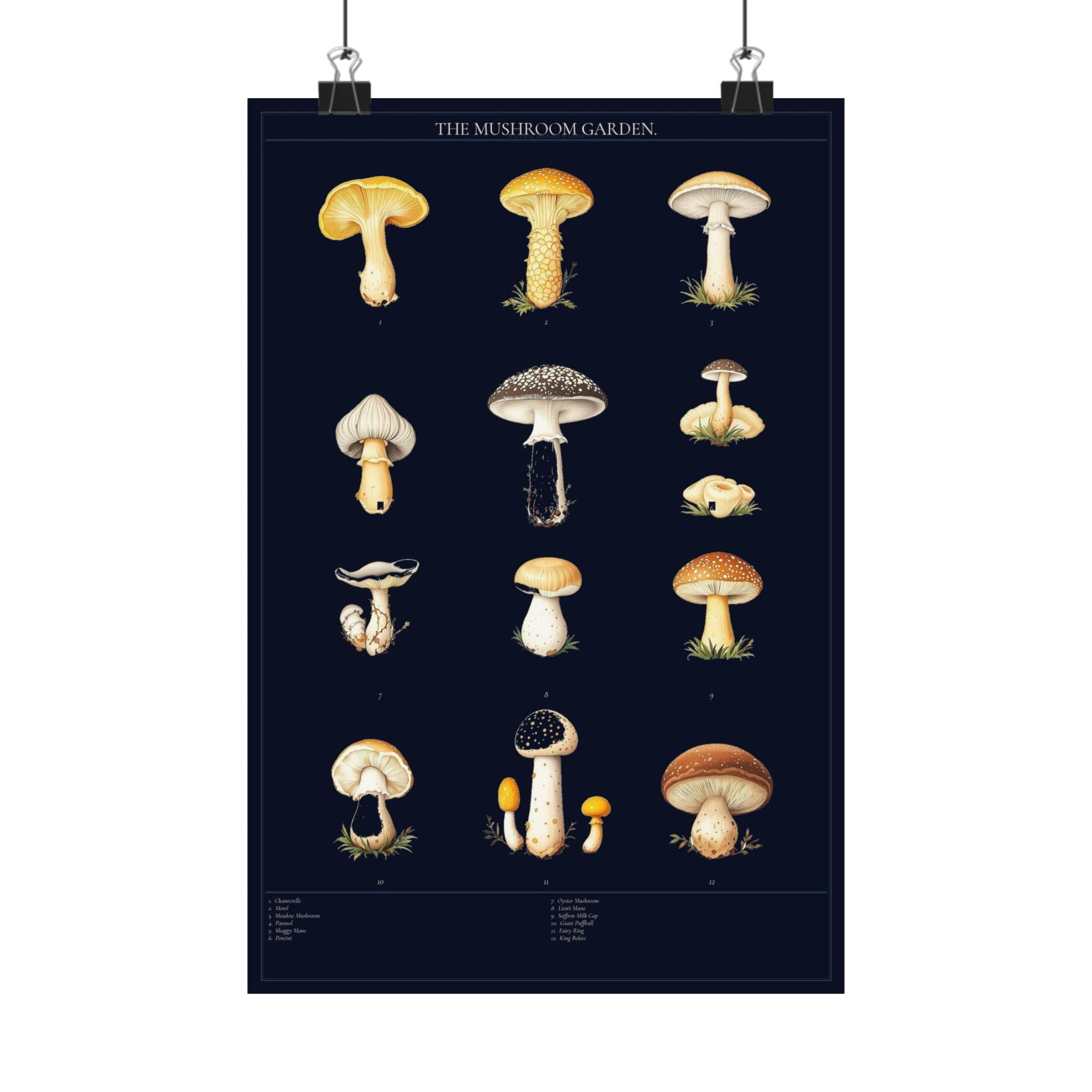 Vintage Mushroom Study — Cottagecore Botanical Art Print