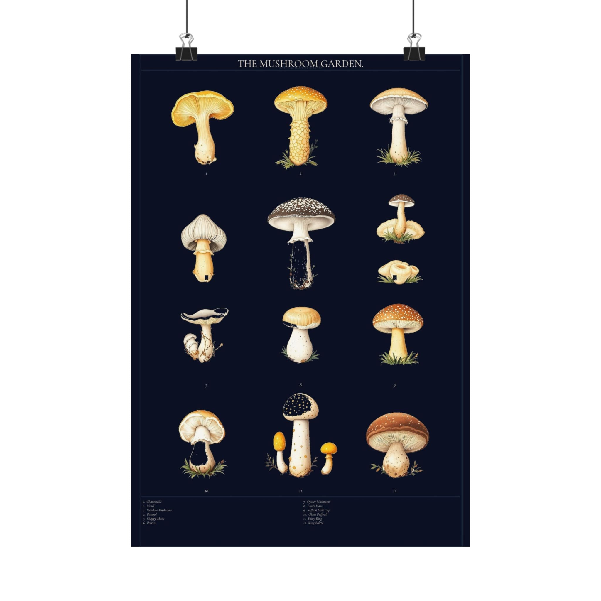 Vintage Mushroom Study — Cottagecore Botanical Art Print