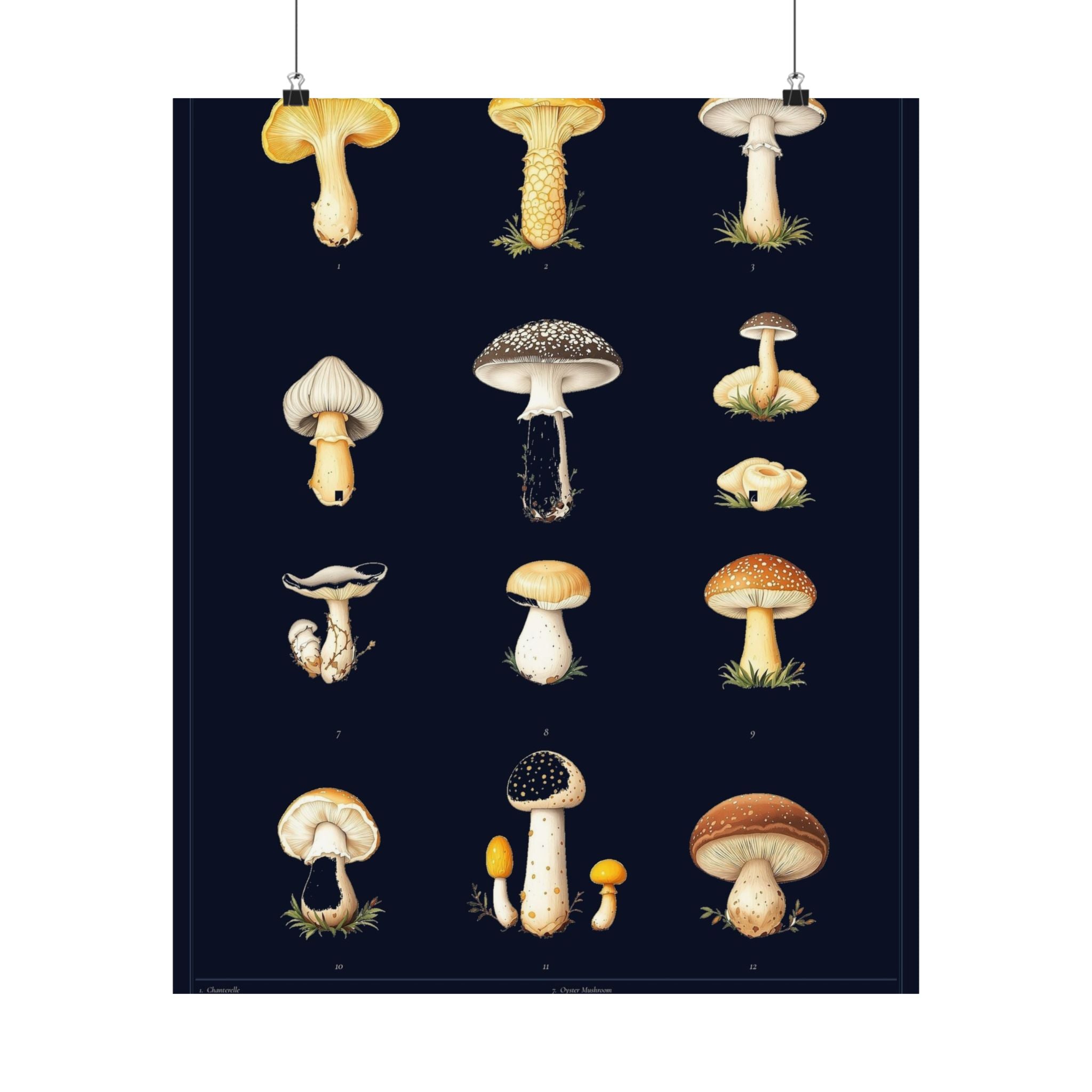 Vintage Mushroom Study — Cottagecore Botanical Art Print