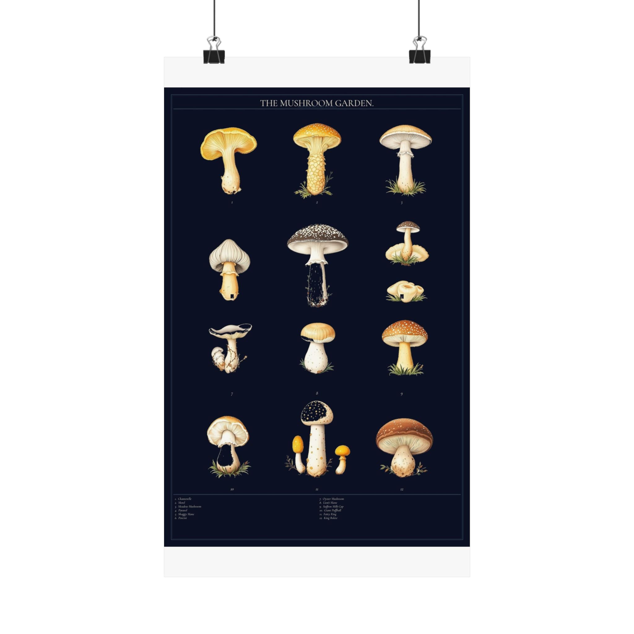 Vintage Mushroom Study — Cottagecore Botanical Art Print