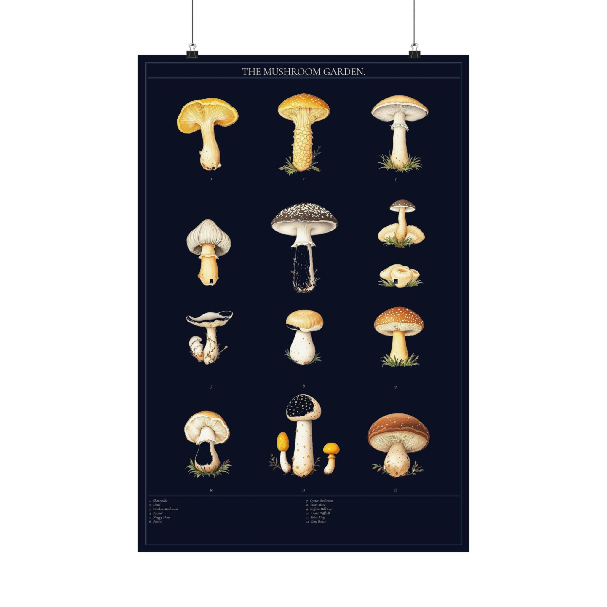 Vintage Mushroom Study — Cottagecore Botanical Art Print
