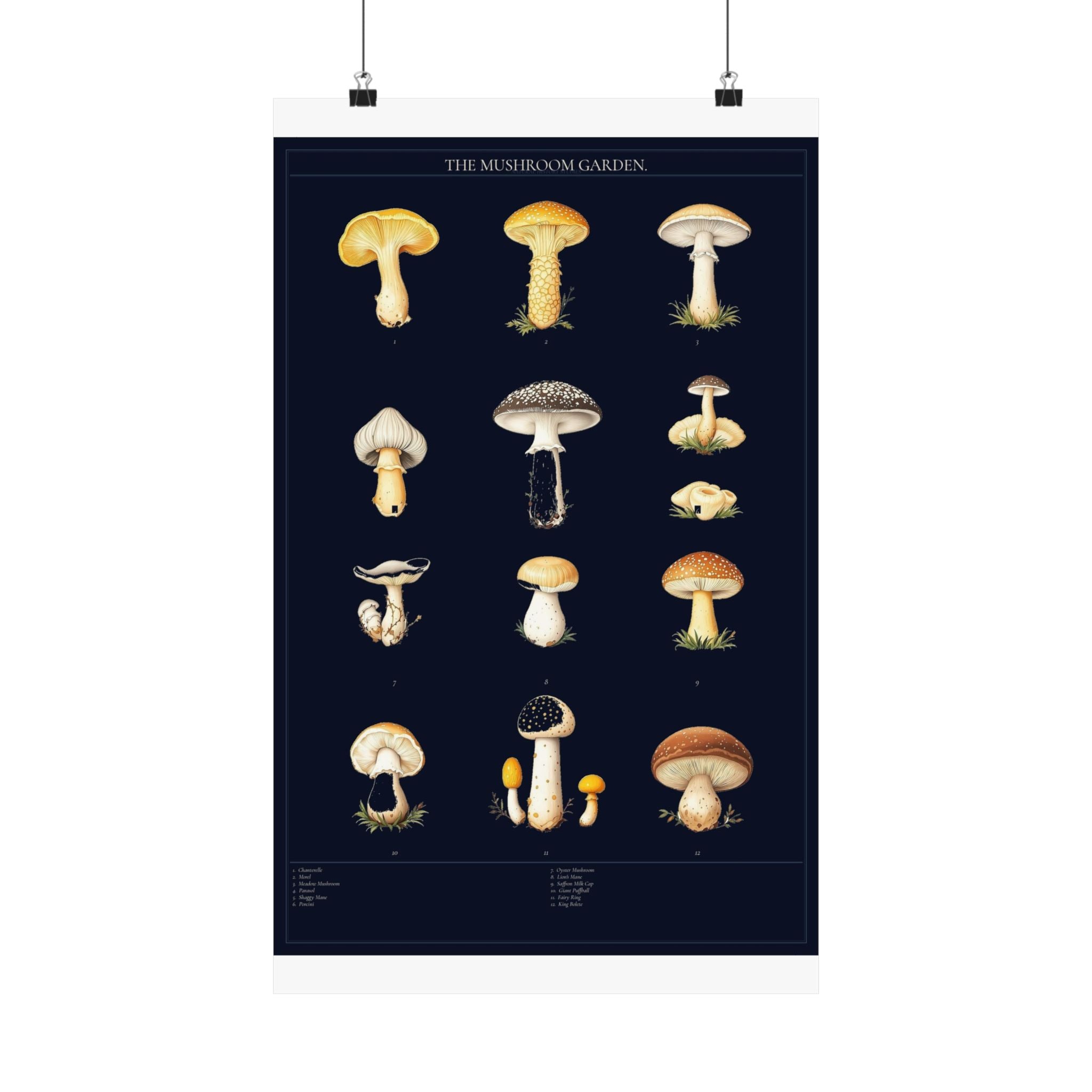 Vintage Mushroom Study — Cottagecore Botanical Art Print