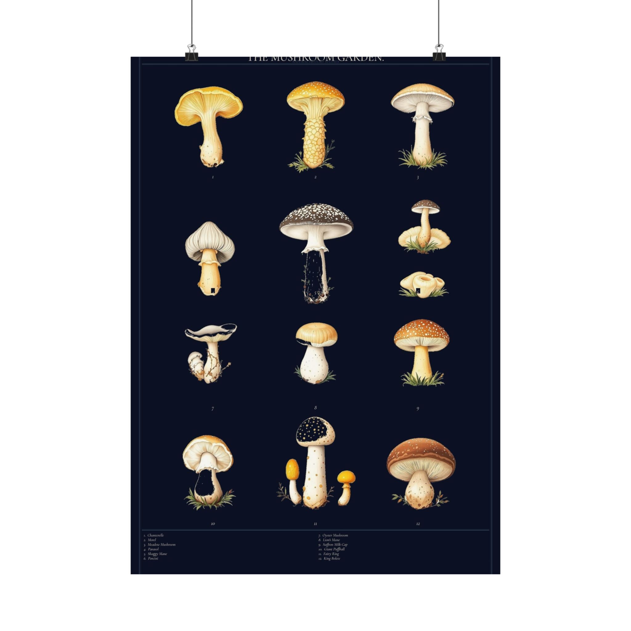 Vintage Mushroom Study — Cottagecore Botanical Art Print