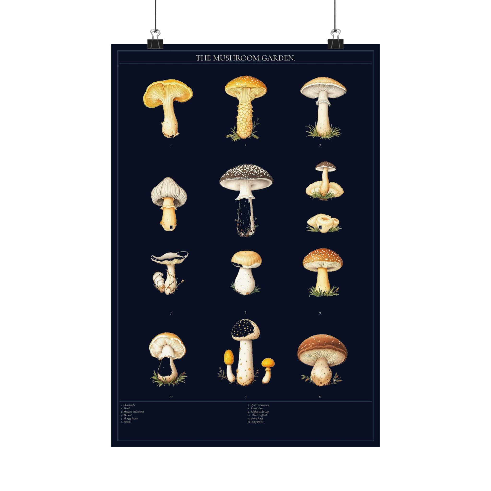 Vintage Mushroom Study — Cottagecore Botanical Art Print