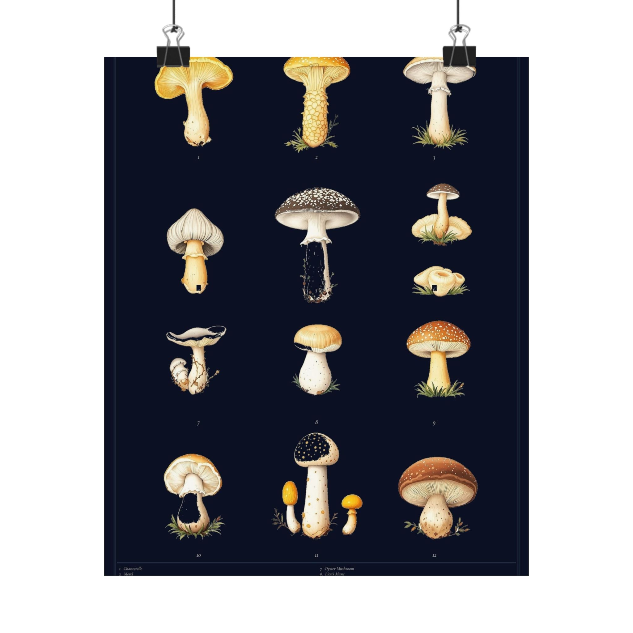 Vintage Mushroom Study — Cottagecore Botanical Art Print